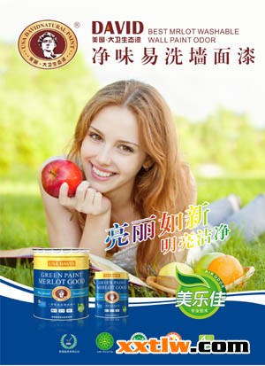 大衛(wèi)漆