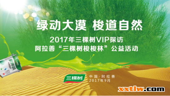 綠動大漠 三棵樹百萬梭林索道自然